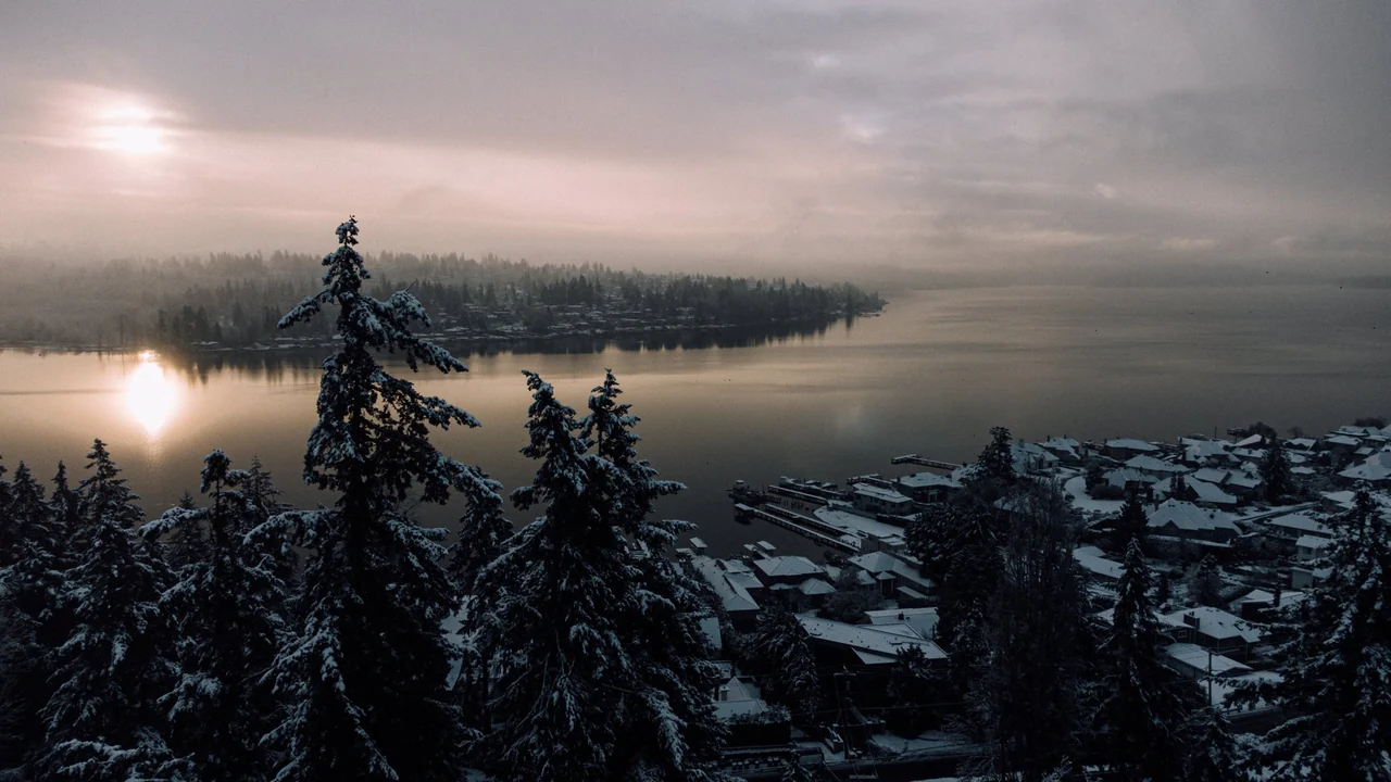 Snow-covered evergreens above a calm lake at a misty winter sunrise